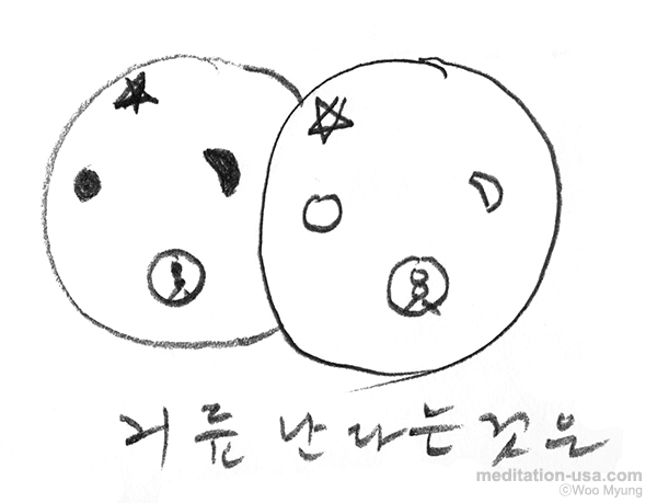 Woo Myung’s Illustration